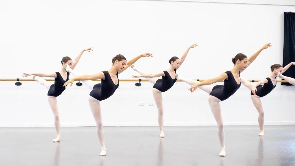 Professional Ballet Training Programs for Students Pursuing a Career in Dance