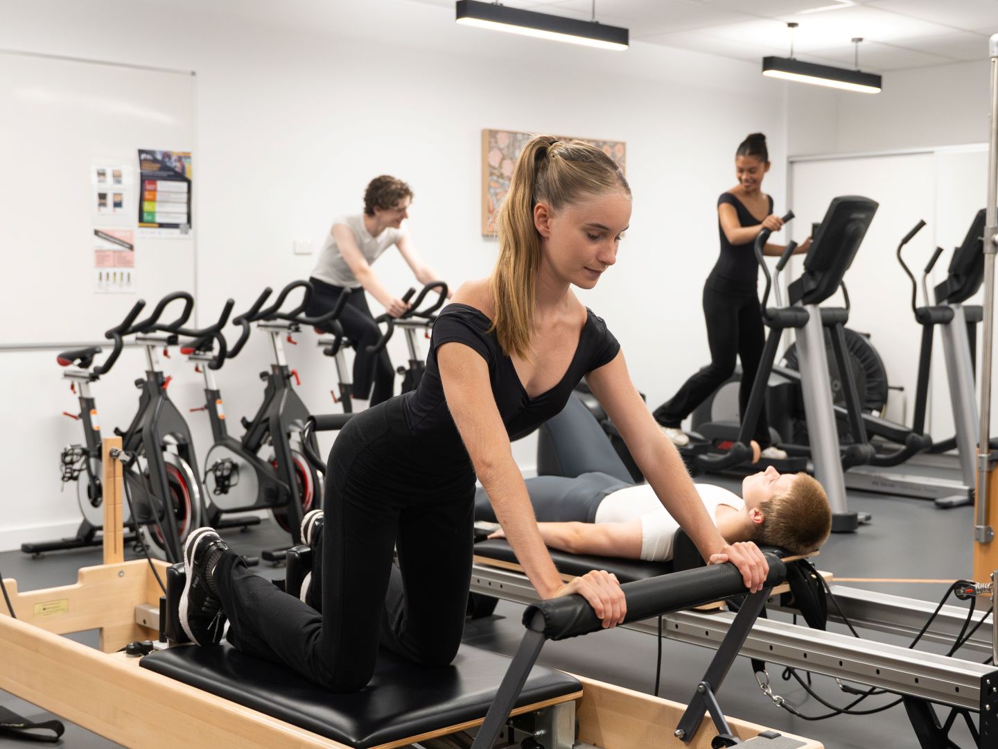 Student Wellness Initiatives