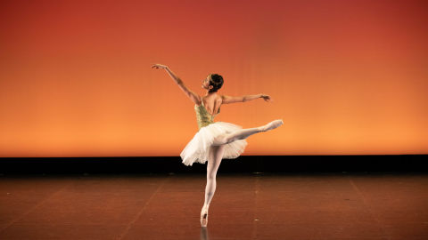 Alumni Spotlight - Hana Nonaka Aillon